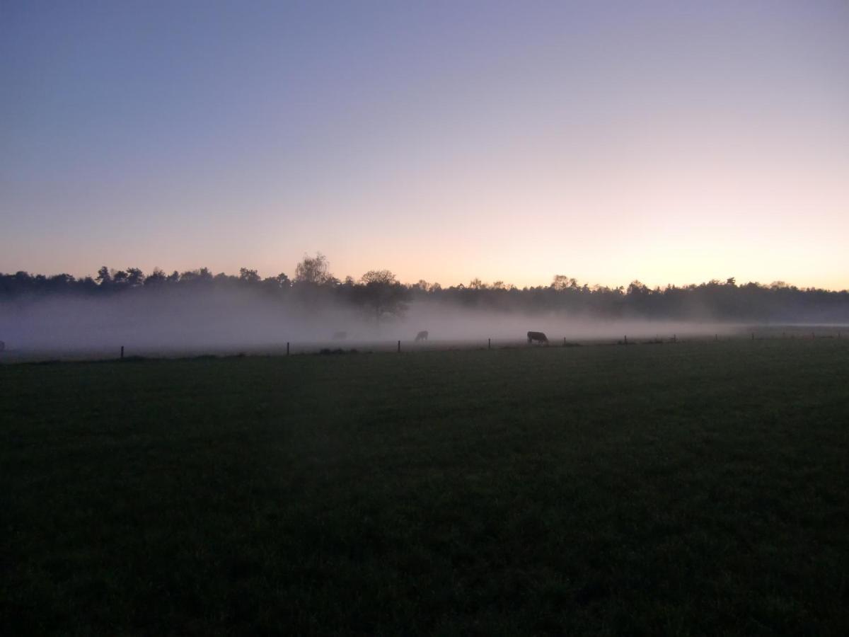 'T Buitenverblijf Erve Punte Losser エクステリア 写真